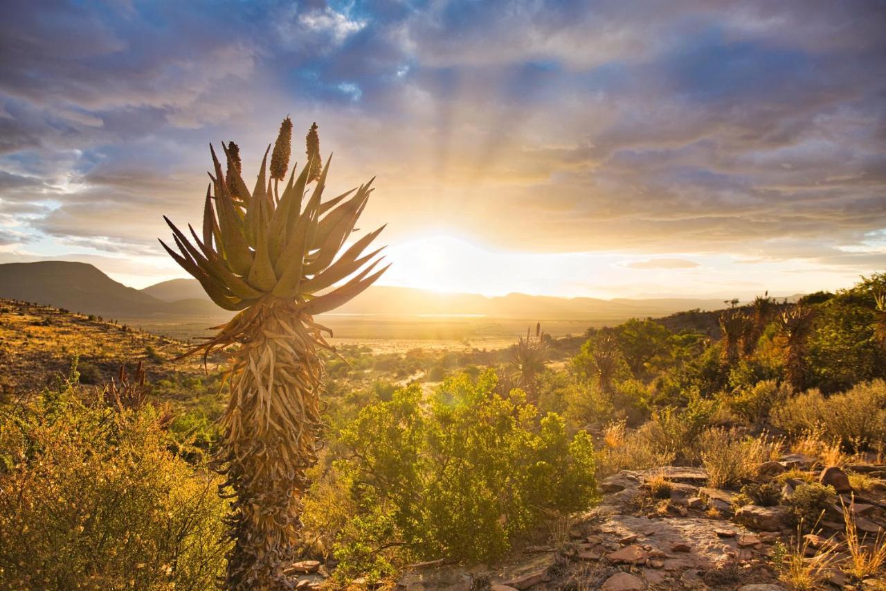 Ironstone Cottage Graaff-Reinet Екстериор снимка